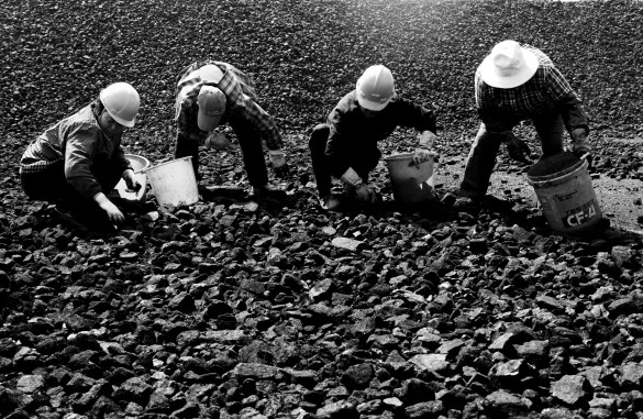 【文苑】可愛(ài)的勞動(dòng)者