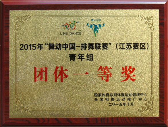 匯鴻中錦公司“夢之錦”健排舞隊榮獲“舞動中國”排舞聯(lián)賽江蘇賽區(qū)青年組團(tuán)體一等獎