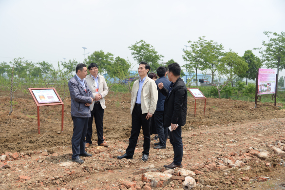 集團(tuán)黨委副書記許冰鑒赴泗洪調(diào)研幫扶工作