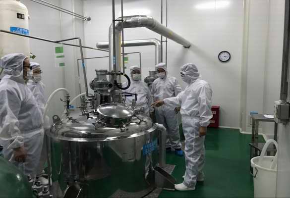 蔣金華副總裁調(diào)研中鼎醫(yī)藥下屬制藥工廠