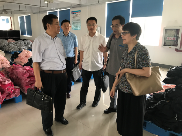 蔣金華副總裁一行調(diào)研中錦淮安鴻博廠