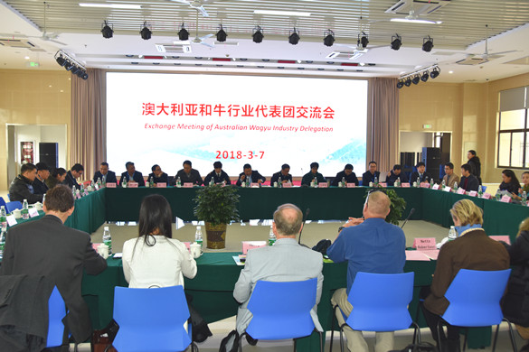 匯鴻冷鏈公司成功舉辦澳大利亞和牛項(xiàng)目招商推介會(huì)